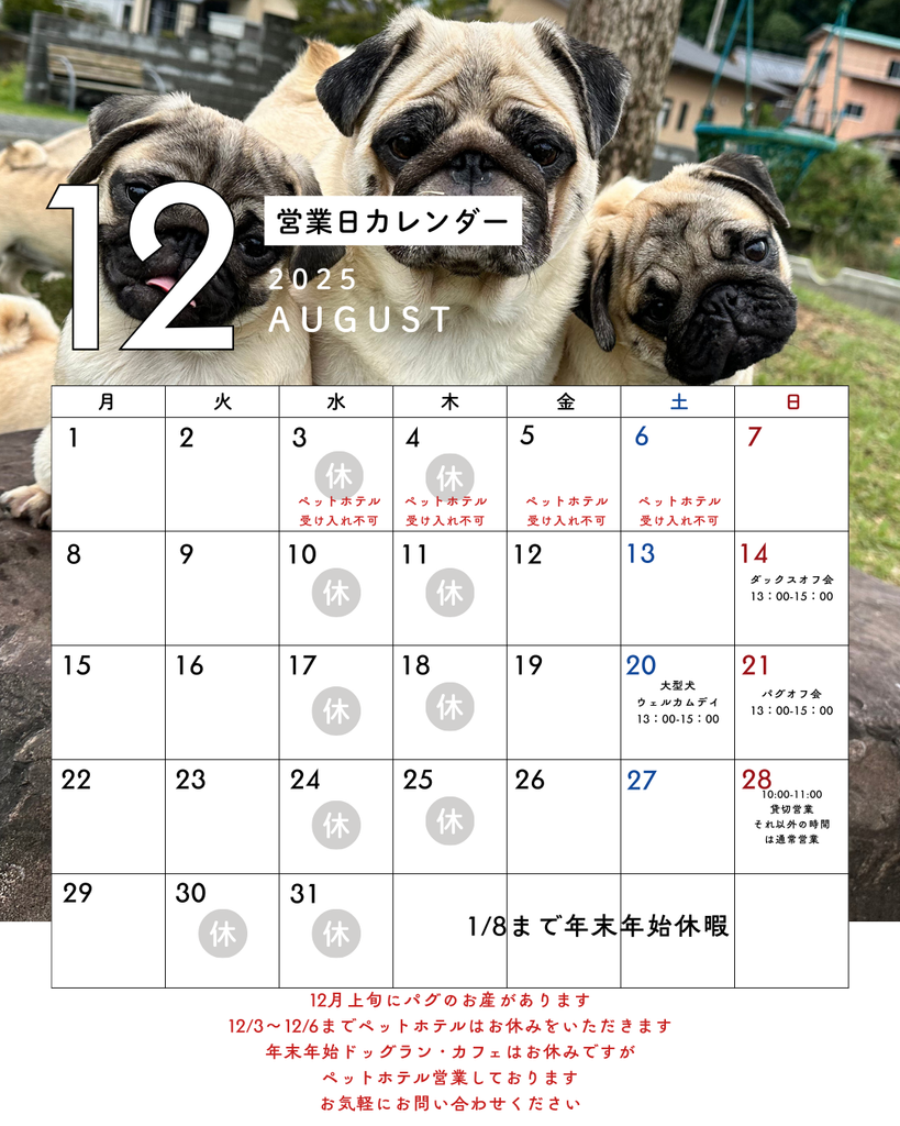 ペットホテルの営業と年末年始の営業について